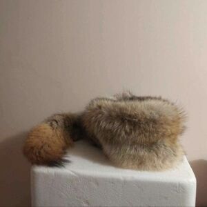 Coyote Hat